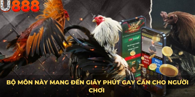 Bộ môn này mang đến giây phút gay cấn cho người chơi