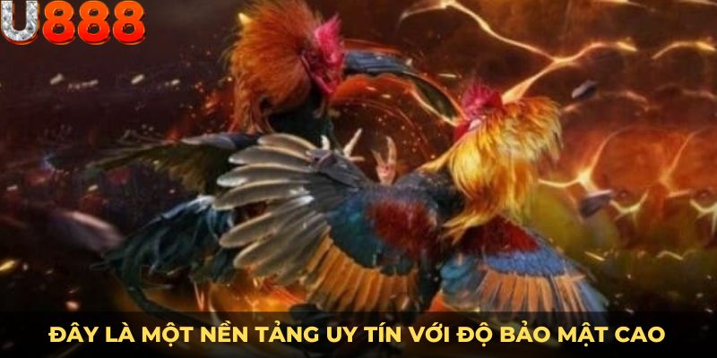 Đây là một nền tảng uy tín với độ bảo mật cao
