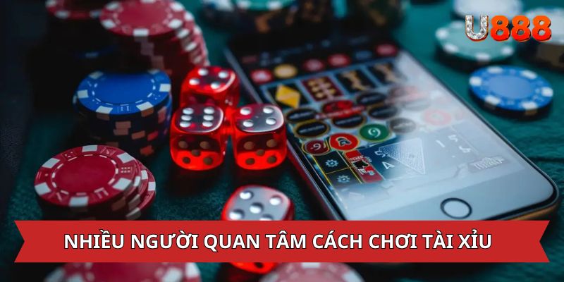 Nhiều thành viên quan tâm cách chơi tài xỉu online